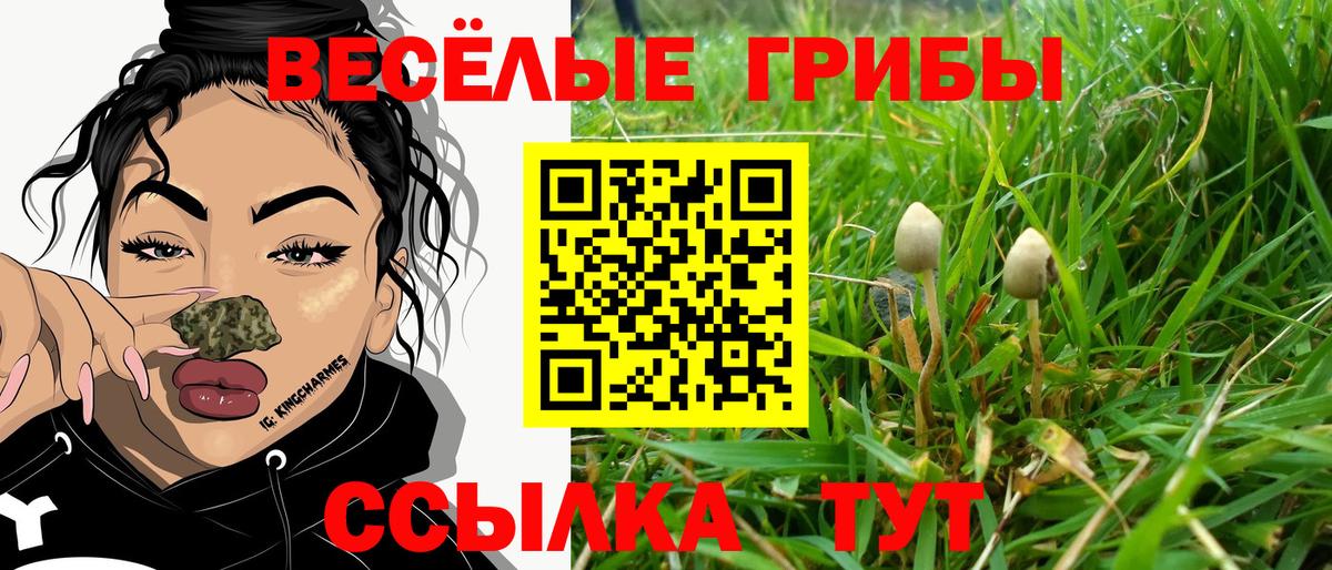 Липецк  Псилоцибиновые грибы Psilocybine cubensis  купить наркотик  Псилоцибиновые грибы Psilocybine cubensis  Вход с VPN 
